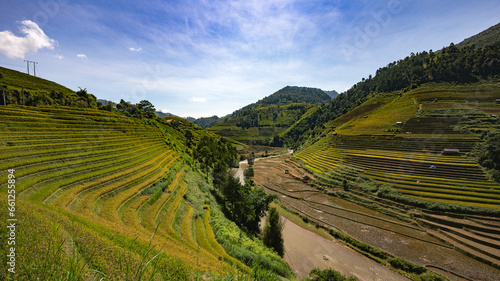 Landscape with green and yellow terraced rice fields and a river in the highlands of North-Vietnam, Yen Bai province