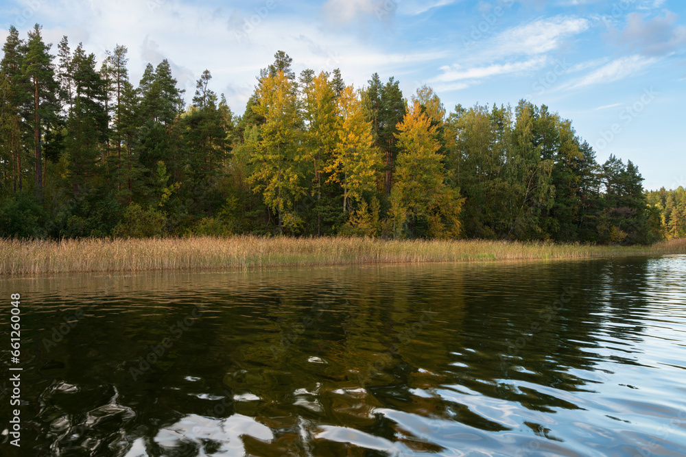 Obraz premium Lake Ladoga near the village Lumivaara on a sunny autumn day, Ladoga skerries, Lakhdenpokhya, Republic of Karelia, Russia