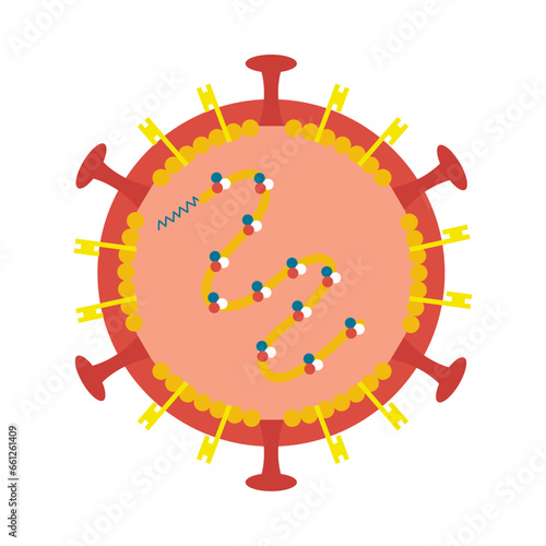 virus nipah inside