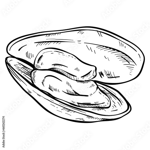 mussel seafood object hand drawn