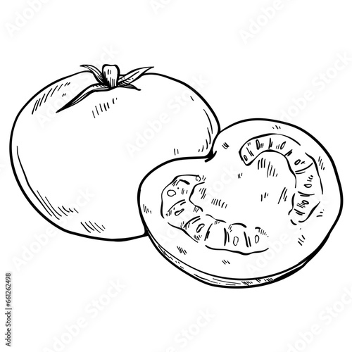 tomato vegetables hand drawn
