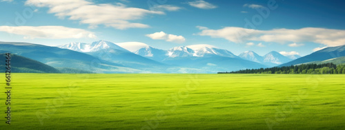 Beautiful landscape with green meadow and mountains in the background. High quality photo
