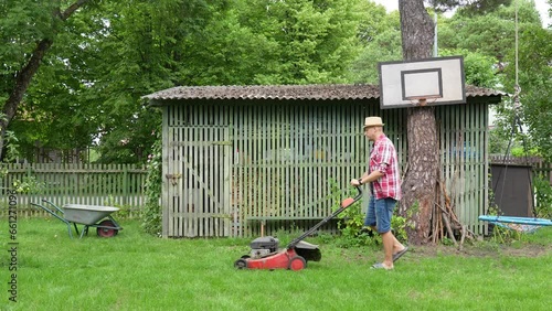 A guy in jeans mows grass in the garden by the shed with a red lawnmower, everything is green and a wheelbarrow stands next to it