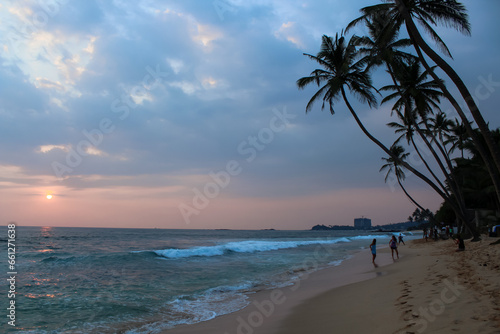 Palm trees and magical light of setting sun at the Indian Ocean coast, Sri Lanka