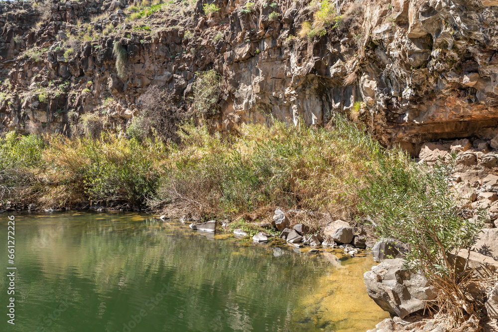 A small lake with fish framed by rocks with overgrown bushes and trees on the banks in Yehudia National Natural Park in northern Israel A small lake with fish framed by rocks with overgrown bushes and trees on the banks in Yehudia National Natural Park in northern Israel