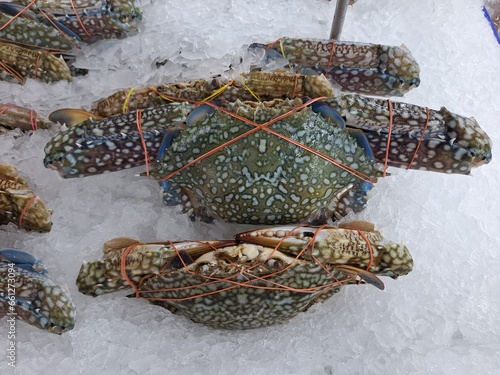 frozen crab