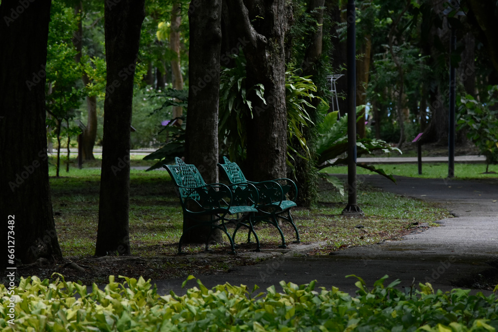 bench in the park