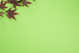 beautiful green background with a hint of red, leaves on the background, space for your own text