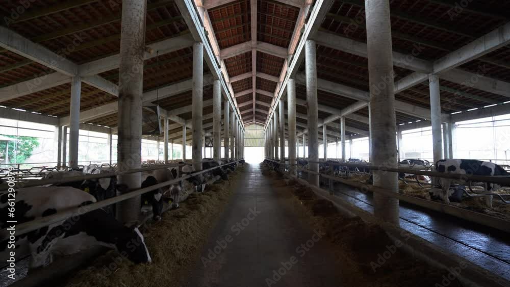 Healthy Dairy Industry: A Perspective on Cow Stalls in a Sustainable Farm with Grazing Animals and Straw Beds Healthy Dairy Industry: A Perspective on Cow Stalls in a Sustainable Farm with Grazing Animals and Straw Beds