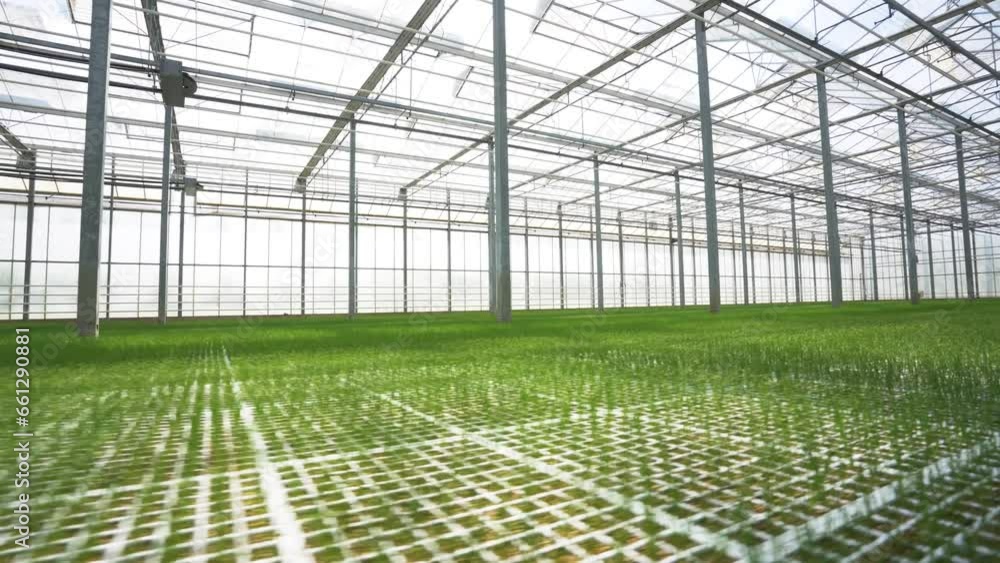 Dutch Greenhouse Technology: A Cinematic Journey into a State-of-the-Art Nursery with Warm Glass Environments Dutch Greenhouse Technology: A Cinematic Journey into a State-of-the-Art Nursery with Warm Glass Environments