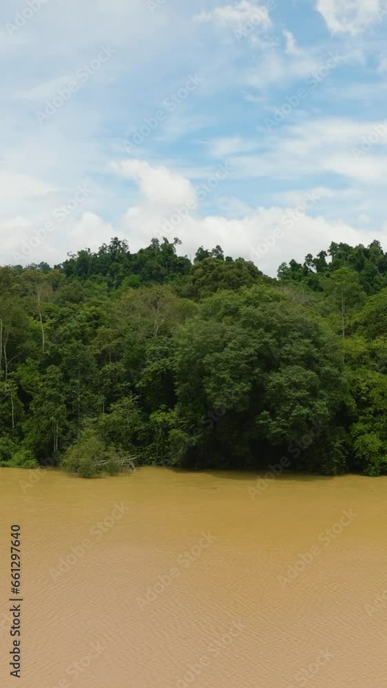 Aerial view of river and rainforest. Jungle landscape. Kinabatangan river. Borneo. Malaysia. Aerial view of river and rainforest. Jungle landscape. Kinabatangan river. Borneo. Malaysia.