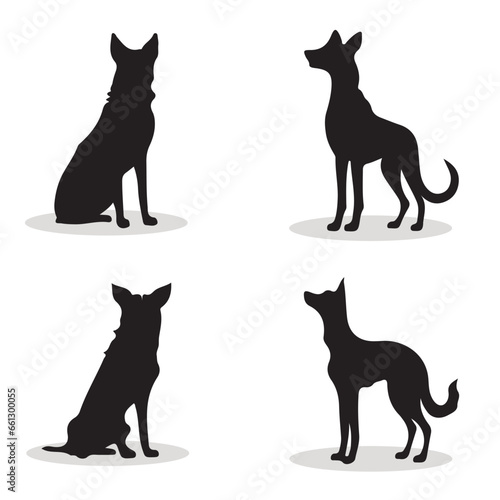 Appenzeller Dog silhouettes and icons. Black flat color simple elegant Appenzeller Dog animal vector and illustration.