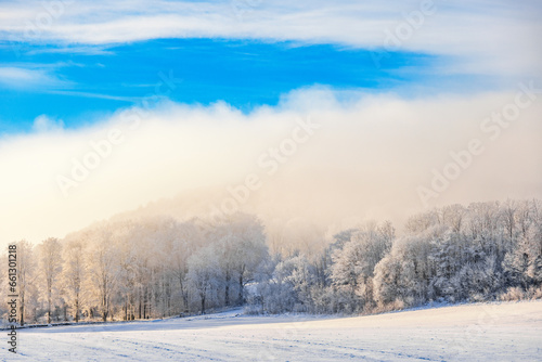 Frosty forest by a field with fog a cold winter day © Lars Johansson