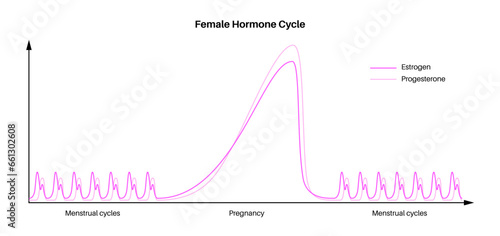 Hormones in pregnancy