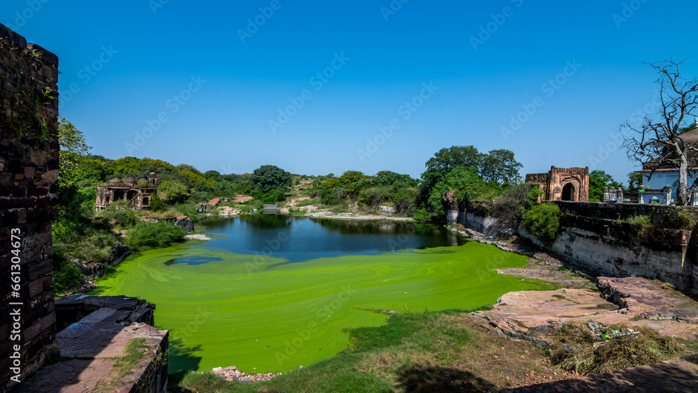 Obraz premium Sawai Madhopur, Rajasthan - Ranthambore Fort stands atop a hill and has played a vital role in the history of Rajasthan
