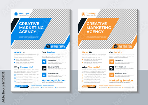 Business Flyer Design, Corporate Professional Flyer Template, Marketing, Annual Report, layout, Vector illustrator