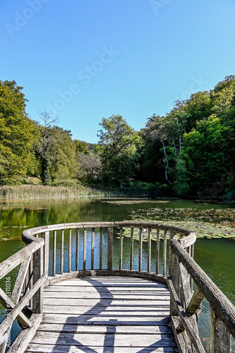 Arlesheim  Ermitage  Weiher  Seerose  See  Holzsteg  Baselland  Waldweg  Wanderweg  Spazierweg  Ausflugsort  Kraftort  Karpfen  Karpfenweiher  Sommer  Herbst  Schweiz