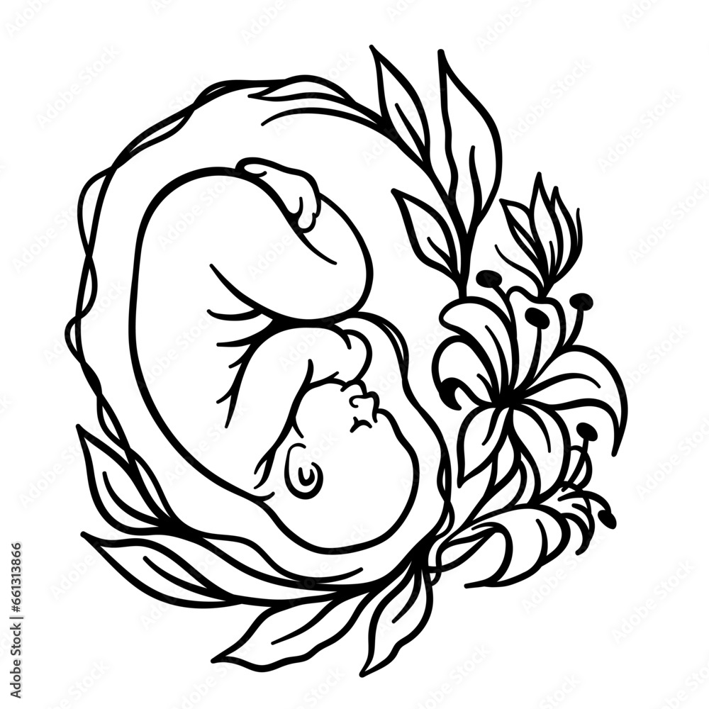 Fetus in womb. Embryo. Pregnancy. Vector illustration. Fetus in womb. Embryo. Pregnancy. Vector illustration.