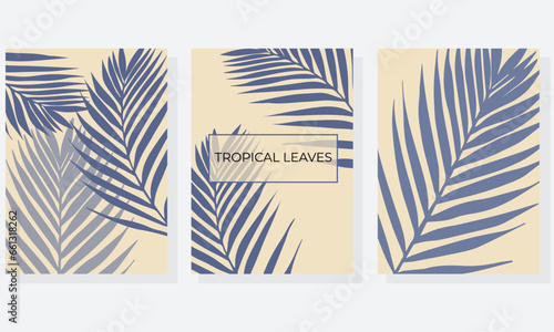 Tropical cover design set. Floral beauty background with exotic leaf. Elegant vector template for wedding invite, brochure layout, spa leaflet, cosmetics backdrop.