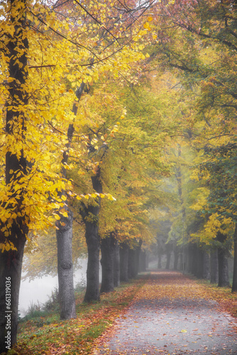 autumn in the park