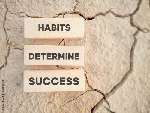 Inspirational motivational quote concept - habits determine success on wooden blocks background.