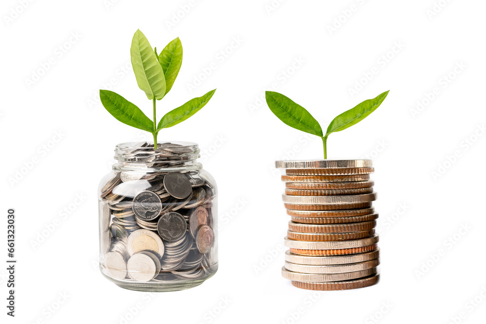 Tree plumule leaf on save money coins, Business finance saving banking investment concept.. Tree plumule leaf on save money coins, Business finance saving banking investment concept..