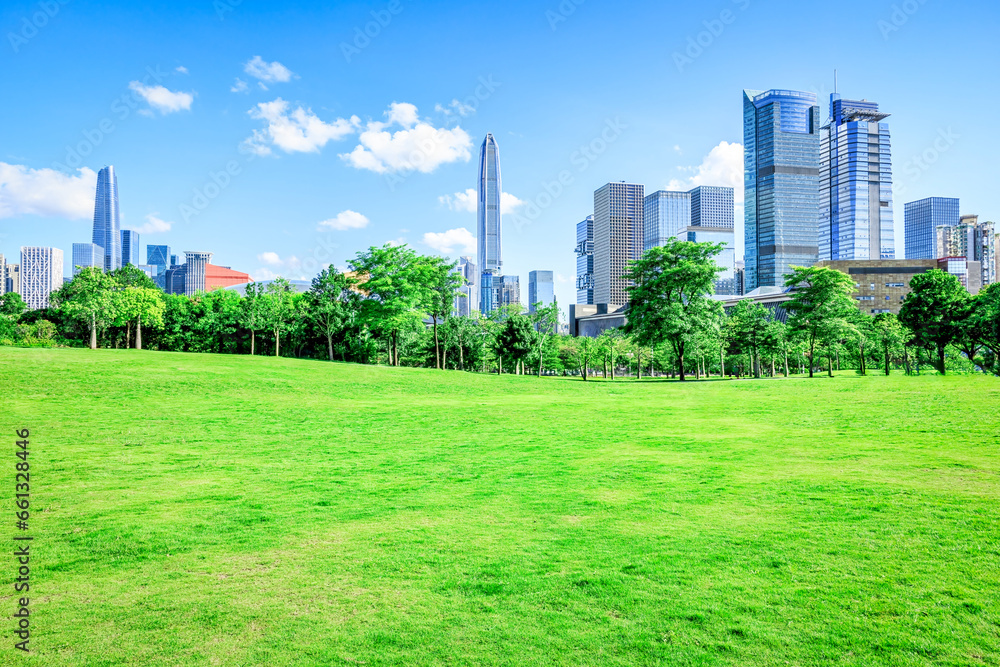 Shenzhen city financial district skyline and park grass scenery