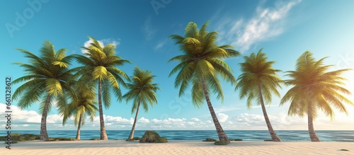 Coconut palm trees on a sandy beach