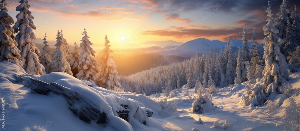 Snowy forest at sunset. Beautiful winter landscape