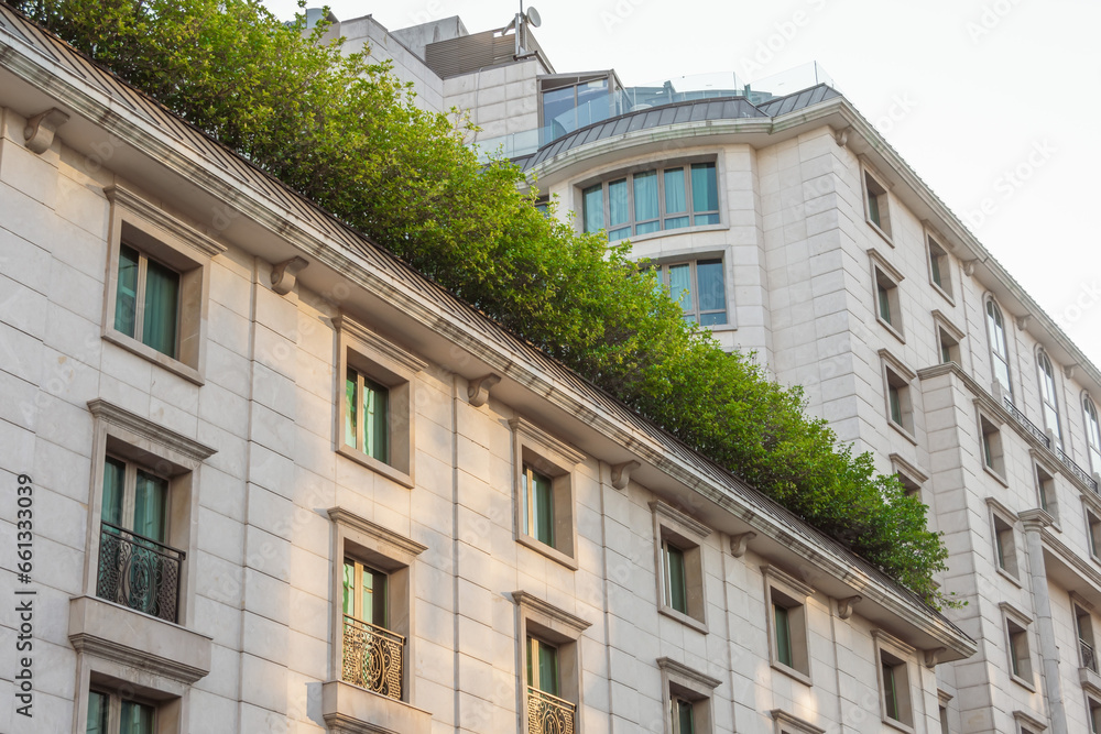 Green bushes with leaves on the roof of an old monumental historical building, view upstairs to the facade with windows.