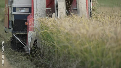 コンバインを使った稲刈りの様子	