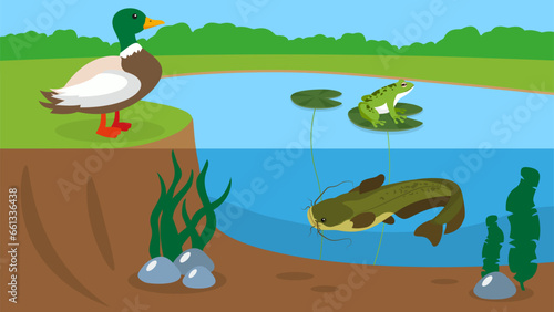 Vector illustration of a lake with a frog, a duck and a catfish. © Volodymyr