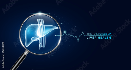 Liver inside magnifying glass with scan search. Health care medical check up too innovative futuristic digital technology. Body health checkup examining organ and blue glowing heart pulse. Vector.