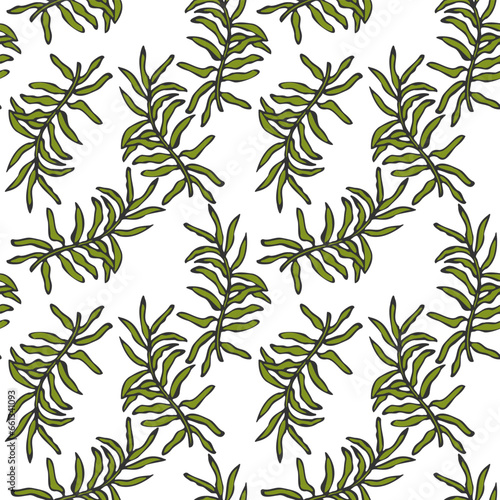 Moss twig hand drawn doodle pattern on white background.