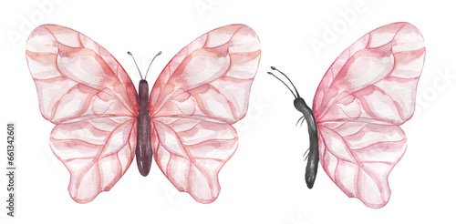 Watercolor pink buttrefly illustration set, moth clipart, insect clip art © mayillustration