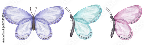 Watercolor hand drawn color buttrefly illustration set, moth clipart, insect clip art © mayillustration
