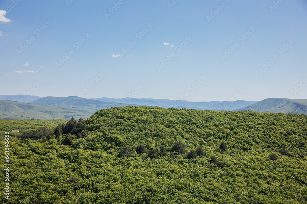 Obraz premium beautiful scenic nature dense forest on the mountains sky travel hiking