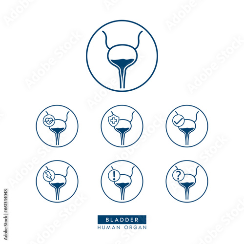 Bladder icon simple flat outline style for health care ads or website. Icons isolated on white background. Medical human organ with exclamation check question mark, cross and thunder. Vector EPS 10.