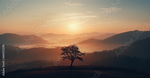 In a foggy realm, lone trees stand sentinel in the landscape,during sunset