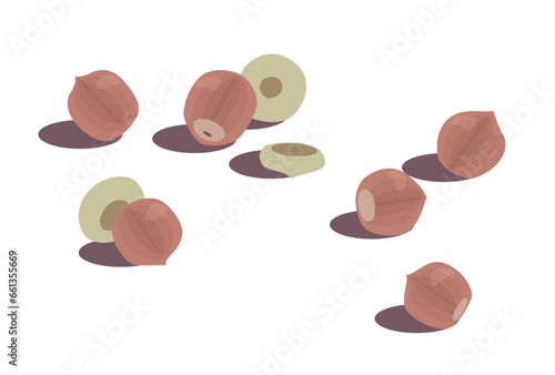 地面に転がったドングリのイラスト