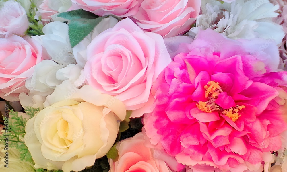 pink roses background pink roses background