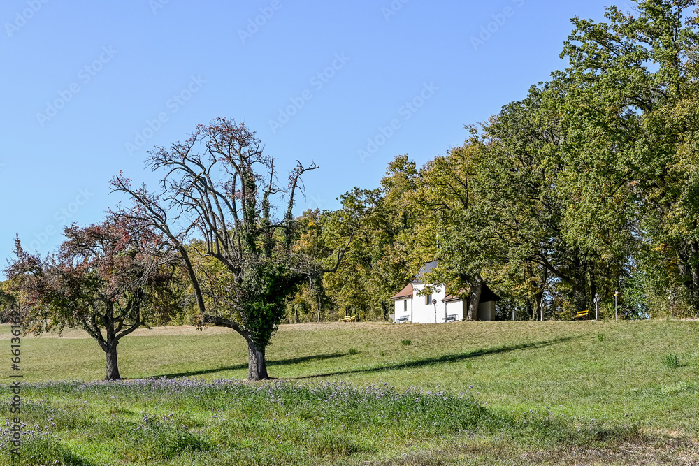 Mariastein, Dorf, Waldweg, Wanderweg, Kloster, Kapelle, Sankt Annakapelle, Herbstlaub, Herbstfarben, Felder, Landwirtschaft, Herbst, Schweiz Mariastein, Dorf, Waldweg, Wanderweg, Kloster, Kapelle, Sankt Annakapelle, Herbstlaub, Herbstfarben, Felder, Landwirtschaft, Herbst, Schweiz