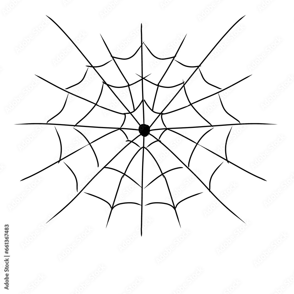 Fototapeta premium Spider