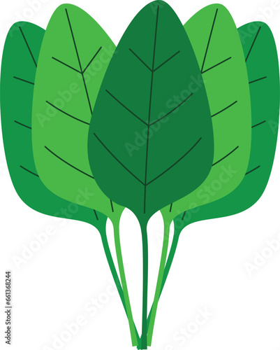 Spinach stilized vector illustration green