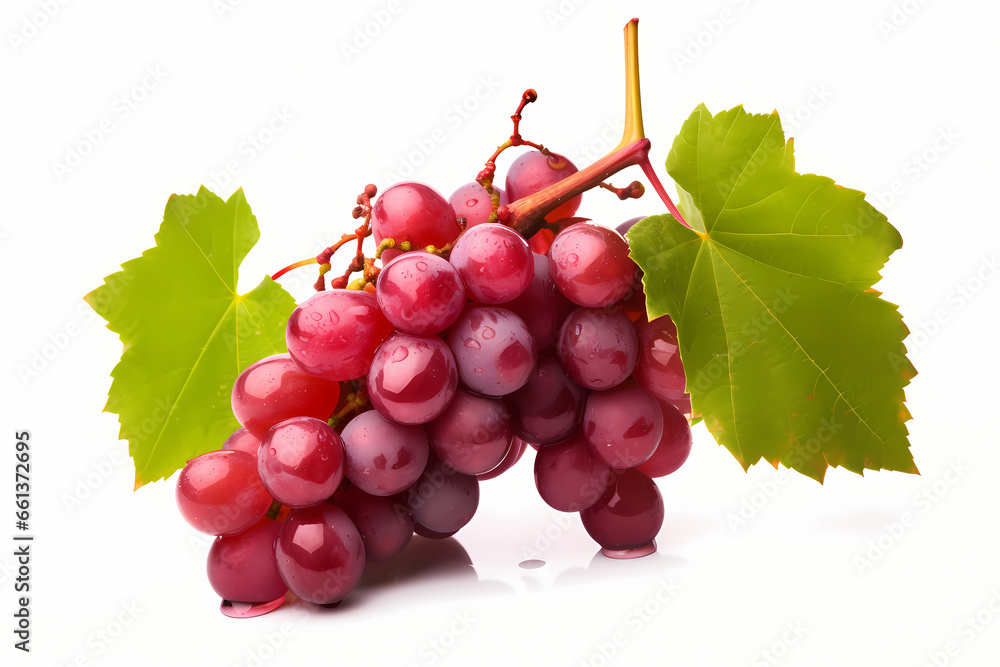 Fototapeta premium a sprig of red grapes with leaves isolated on white 