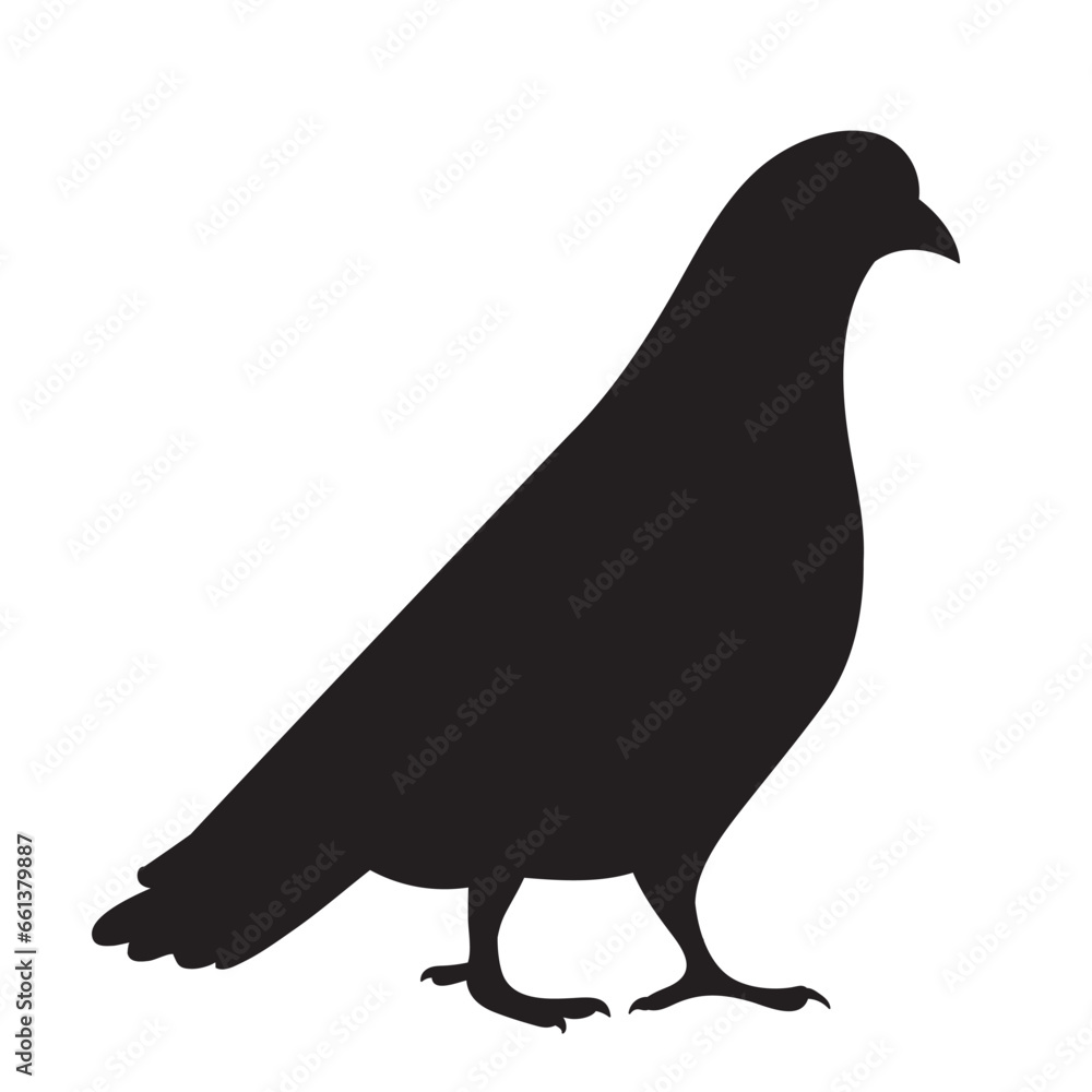 Obraz premium dove black silhouette, isolated vector
