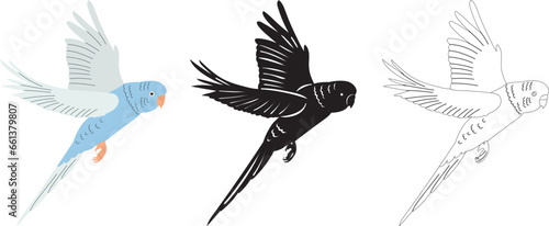 flying budgie with silhouette, isolated vector