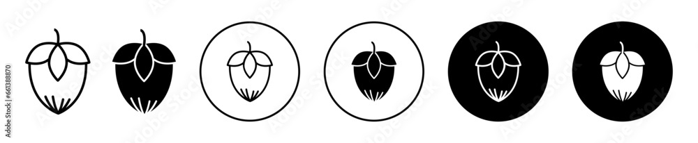 Obraz premium Hazelnut icon. Hazelnut seed plant with shell symbol set. Filbert hazel nut drawing vector sign. kernel hazelnut oil line logo
