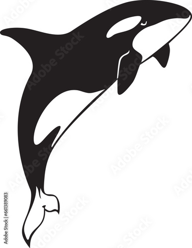 Killer Whale jumping. Orcinus Orca. Vector Illustration.