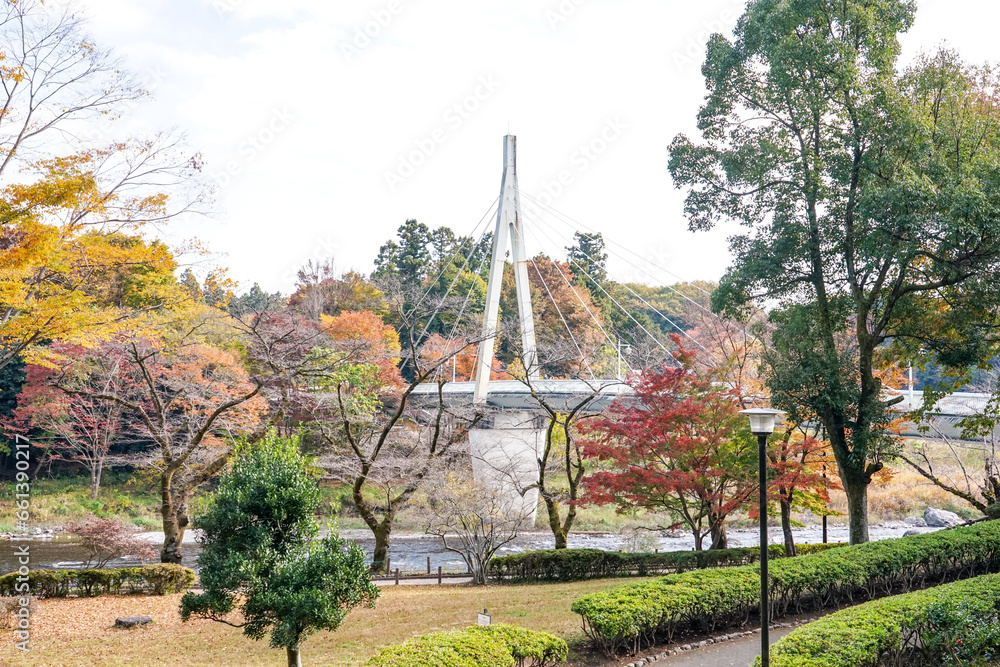 鮎美橋から多摩川上流の紅葉(東京都青梅市) 鮎美橋から多摩川上流の紅葉(東京都青梅市)